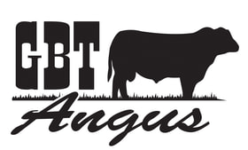 GBT Angus logo